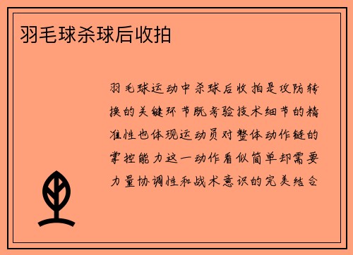 羽毛球杀球后收拍