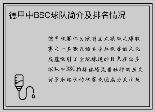 德甲中BSC球队简介及排名情况
